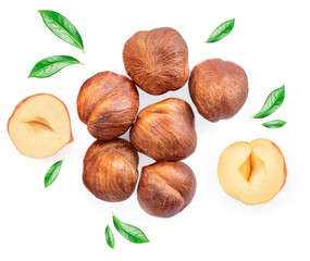 Full and halfs of hazelnuts isolated on white background. Hazelnut macro.  High resolution image..