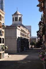 Cementerio de Sant Andreu