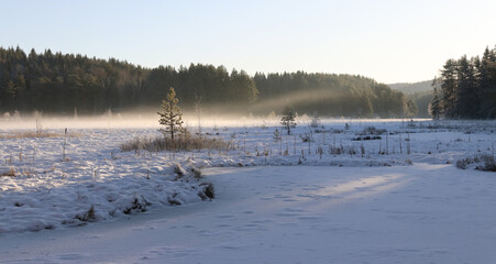 Norwegian winter landscape