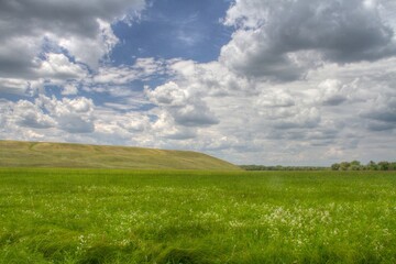 field and sky