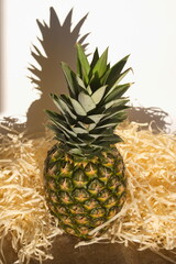ripe pineapple on straw and shade