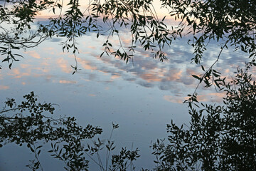 evening reflection in the river Moselle	
