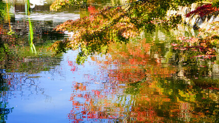 水面に映る紅葉の幻想的な風景