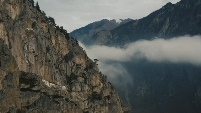 Caucasus mount beautiful cinematic drone video lonely tree, 