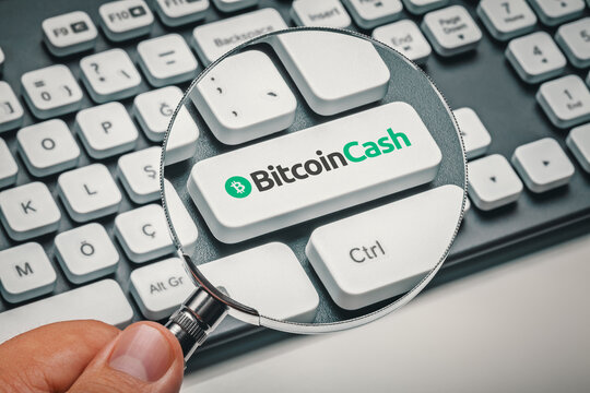Cryptocurrency trading concept: Male hand holding magnifying glass and focusing computer key with bitcoin cash| bch logo. Cryptocurrency mining, trading, market concept.