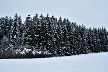 Winterlandschaft mit Wald