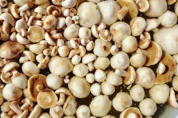 Clean, peeled Suillus mushrooms in metal pan. Fresh cooked mushrooms on a wooden background
