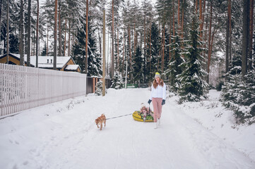 Happy mother and little cute girl in pink warm outwear walking having fun rides inflatable snow tube with red shiba inu dog in snowy white winter forest outdoors. Family sport vacation activities