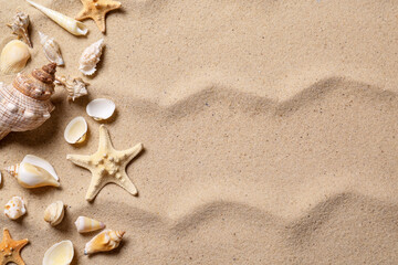 Fototapeta na wymiar Beautiful seashells and starfishes on beach sand, flat lay with space for text. Summer vacation