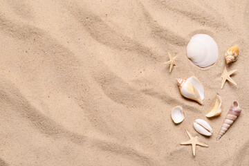 Beautiful seashells and starfishes on beach sand, flat lay with space for text. Summer vacation