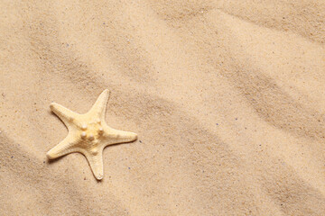 Fototapeta na wymiar Beautiful starfish and space for text on beach sand, top view. Summer vacation