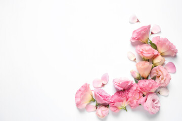 Beautiful Eustoma flowers on white background, top view. Space for text