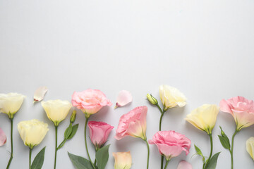 Beautiful Eustoma flowers on grey background, flat lay. Space for text