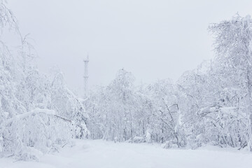 white winter snowy landscape - a road through the forest and an icy cell tower in the distance after a snowfall