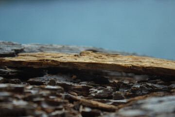 Natural wood in Croatia