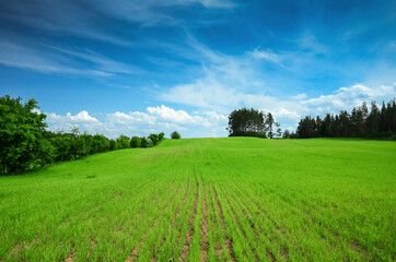 Green field, Podlaskie voivodeship