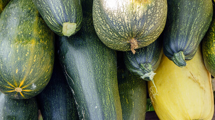 Squash. Beautiful Holiday Autumn festival concept scene Fall, Harvest