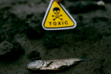 dead fish on a lake with a toxic sign in hand