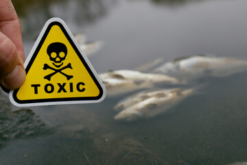 dead fish on a lake with a toxic sign in hand