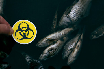 dead fish on a lake with a toxic sign in hand