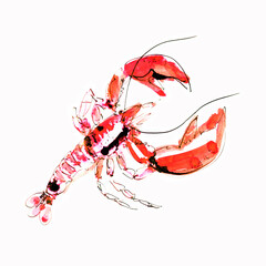 Watercolor lobster on a white background. Graphic art. Ink drawing. Hand drawing. Postcard, design, wallpaper, poster, graphic resource. - 404283231