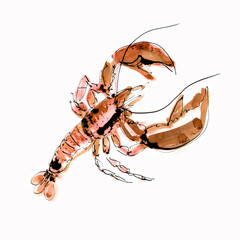 Watercolor lobster on a white background. Graphic art. Ink drawing. Hand drawing. Postcard, design, wallpaper, poster, graphic resource. - 404283234