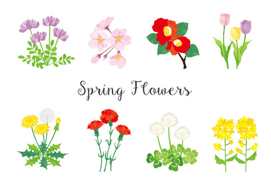 蓮華草 Images Browse 6 Stock Photos Vectors And Video Adobe Stock