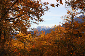 Snowy mountain peak surrounded by red foliage.