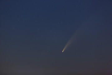 Fototapeta na wymiar Comet C / 2020 F3 (NEOWISE) in the night starry sky.