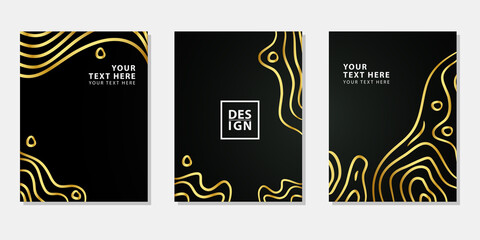 luxury poster set in black and gold color