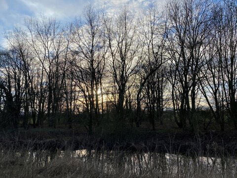 A View Of The Lake At Nantwich In Cheshire