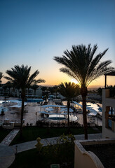 sunset on the background of a sandy beach with palm trees