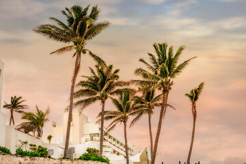 Fototapeta premium Cancun Beach