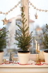 Small potted fir trees and Christmas decor on window sill indoors