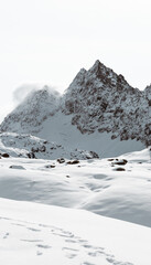 Alpine Mountain Peak Panorama