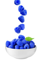 Fresh blue raspberries falling into bowl on white background