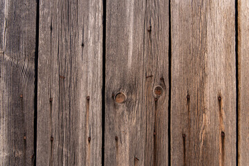 Texture of old boards, and the bark of a tree