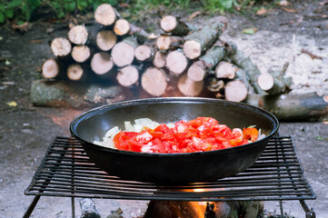 Tomatoes and onions are fried in a frying pan on the grill on the background of firewood in nature.