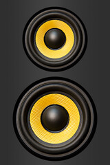 audio speaker