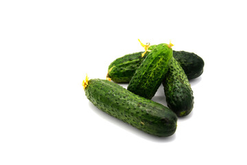Fresh green cucumbers with yellow flowers