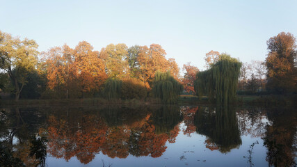 October morning, walk in the autumn park, trees