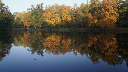 October morning, walk in the autumn park, lonely maple leaf