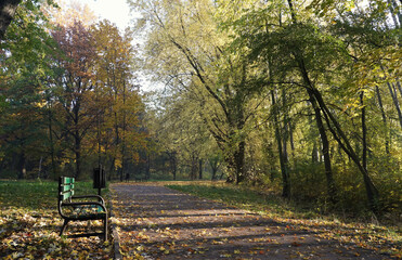Fototapeta na wymiar October morning in the park, lonely walk along the paths, bench