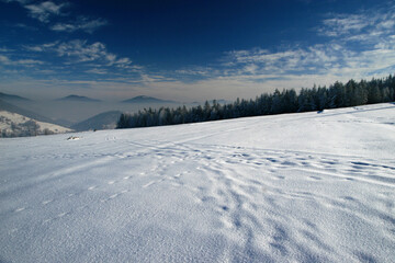 Fototapeta na wymiar Winter in Island Beskids, Poland
