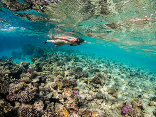 Naklejka na ściany i meble Young woman snorkeling at coral reef of Red Sea