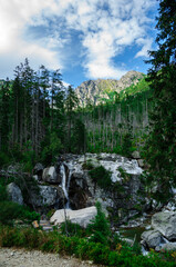 Potok w Tatrach (Słowacja)