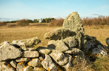 Ruine d'un muret en pierre dans la lande bretonne.