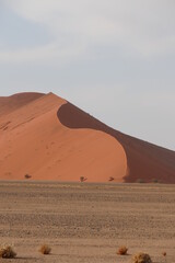Fototapeta na wymiar Namib Naukluft Park - Düne 45