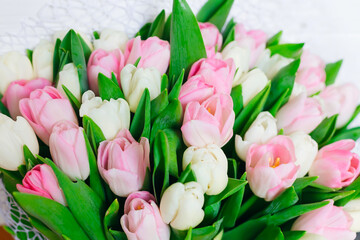 Beautiful delicate spring flowers - pink ans white tulips.