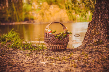 Easter basket on the background of the lake park and trees